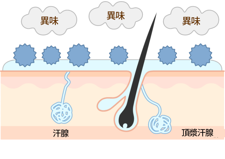 エサを食べた後、不快なニオイを排出する！