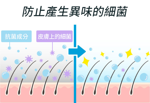 雙重抗菌成分