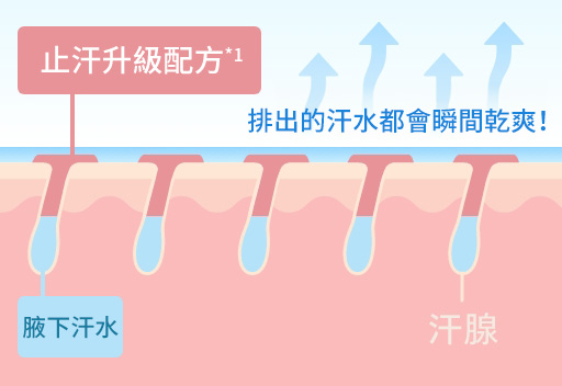 徹底排汗（止汗+速乾配方）