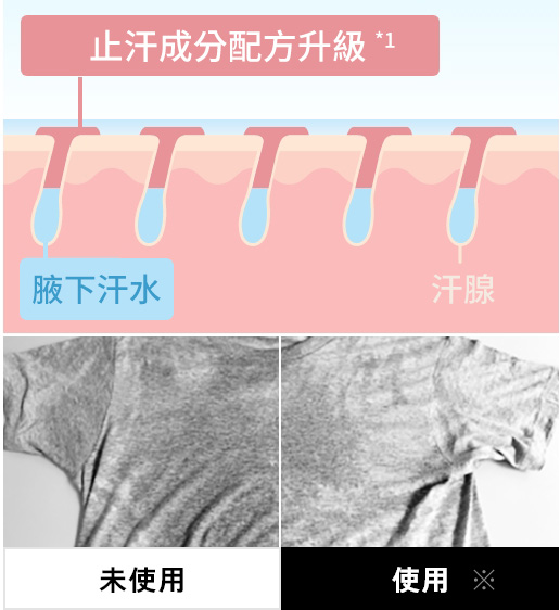 徹底排汗（止汗+速乾配方）